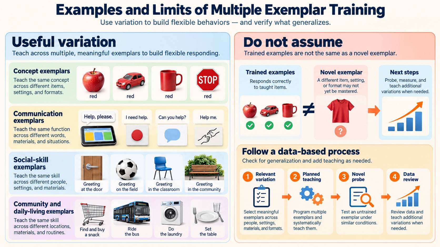 No-person infographic comparing useful exemplar variation with the limit that trained examples are not the same as a novel exemplar, followed by a relevant variation, planned teaching, novel probe, and data review checklist.